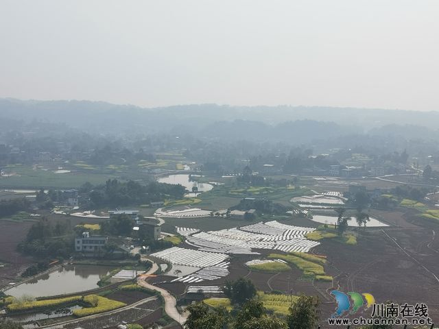 nEO_IMG_万亩粮油核心区育秧基地（曾佐然摄）.jpg