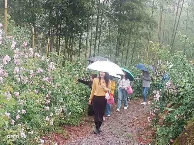 趁着阳光,来纳溪赴一场浪漫追花之旅(图9) nEO_IMG_9.jpg