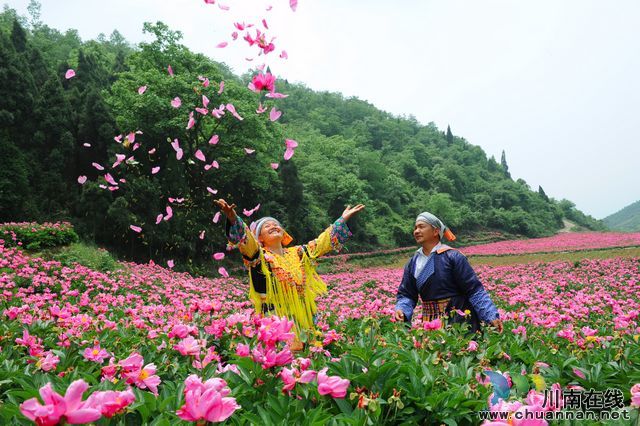 nEO_IMG_古蔺县双沙镇花海.jpg