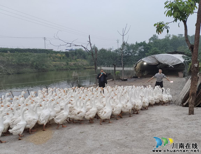 泸县乡贤朱玉龙：平凡人，做不平凡的事