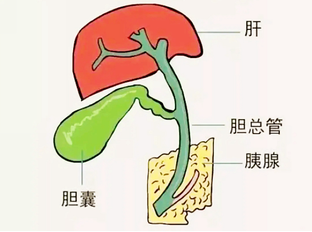 【围观】差点就癌变,30分钟解决(图5) nEO_IMG_5.jpg